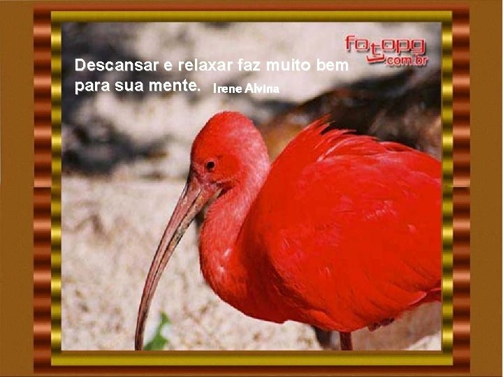 Descansar e relaxar faz muito bem para sua mente. Irene Alvina Descansar e relaxar faz muito bem para sua mente. Irene Alvina