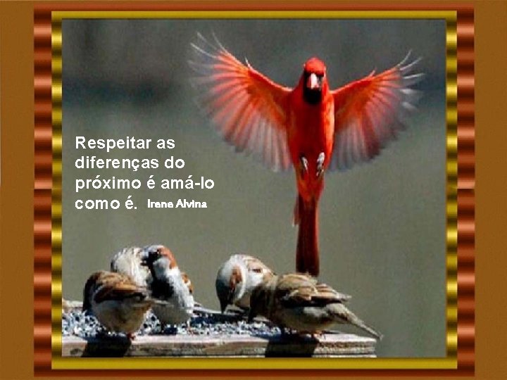 Respeitar as diferenças do próximo é amá-lo como é. Irene Alvina Respeitar as diferenças do próximo é amá-lo como é. Irene Alvina