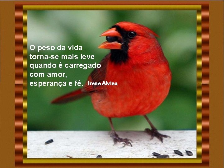 O peso da vida torna-se mais leve quando é carregado com amor, esperança e O peso da vida torna-se mais leve quando é carregado com amor, esperança e