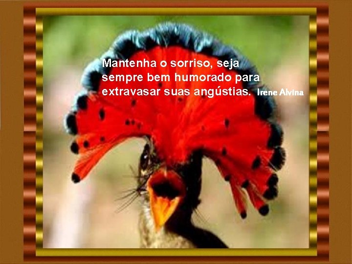 Mantenha o sorriso, seja sempre bem humorado para extravasar suas angústias. Irene Alvina Mantenha o sorriso, seja sempre bem humorado para extravasar suas angústias. Irene Alvina