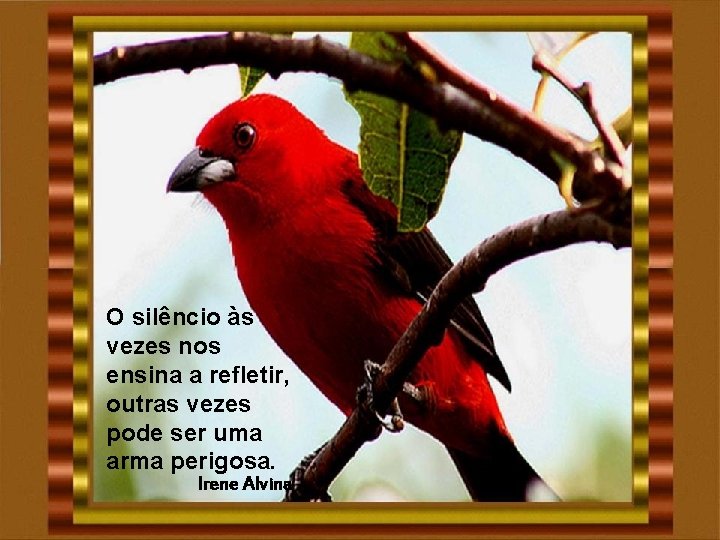 O silêncio às vezes nos ensina a refletir, outras vezes pode ser uma arma O silêncio às vezes nos ensina a refletir, outras vezes pode ser uma arma