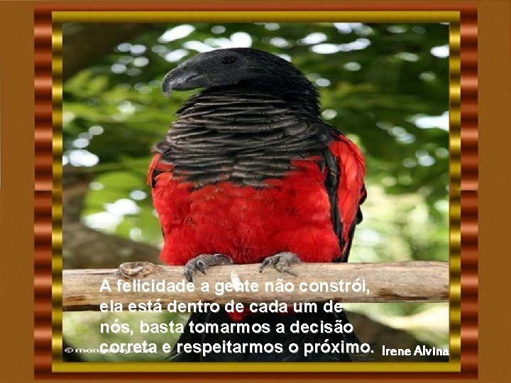 A felicidade a gente não constrói, ela está dentro de cada um de nós, A felicidade a gente não constrói, ela está dentro de cada um de nós,