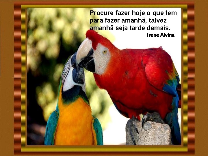 Procure fazer hoje o que tem para fazer amanhã, talvez amanhã seja tarde demais. Procure fazer hoje o que tem para fazer amanhã, talvez amanhã seja tarde demais.