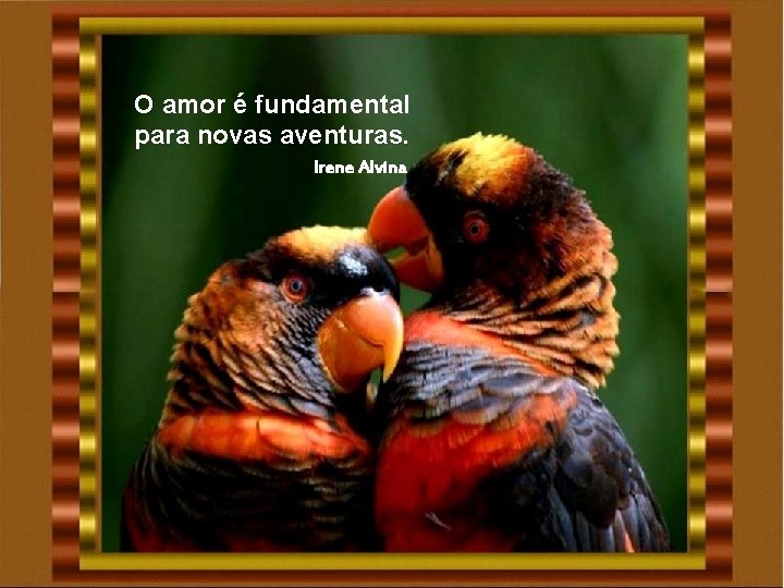 O amor é fundamental para novas aventuras. Irene Alvina O amor é fundamental para novas aventuras. Irene Alvina