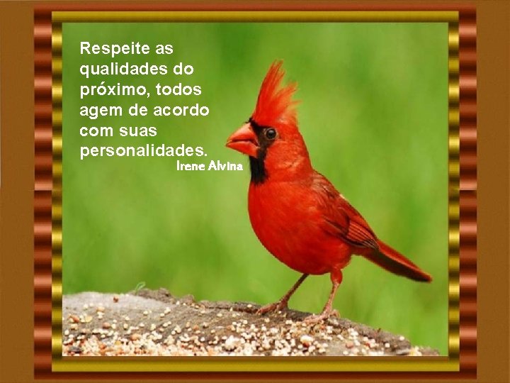 Respeite as qualidades do próximo, todos agem de acordo com suas personalidades. Irene Alvina Respeite as qualidades do próximo, todos agem de acordo com suas personalidades. Irene Alvina