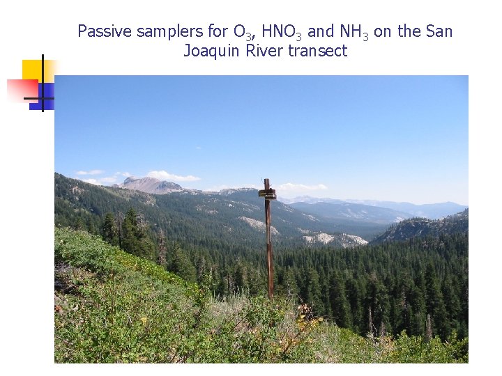 Passive samplers for O 3, HNO 3 and NH 3 on the San Joaquin
