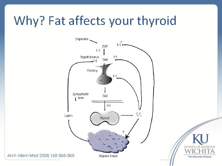 Why? Fat affects your thyroid Arch Intern Med 2008; 168: 568 -569. 