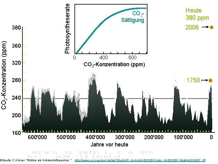 Photosyntheserate CO 2 -Konzentration (ppm) 380 360 CO 2 Sättigung 2006 0 320 Heute