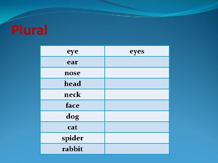 Plural eye ear nose head neck face dog cat spider rabbit eyes 