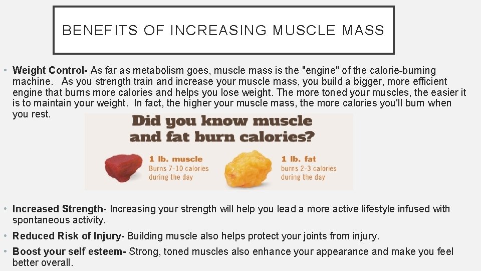 BENEFITS OF INCREASING MUSCLE MASS • Weight Control- As far as metabolism goes, muscle