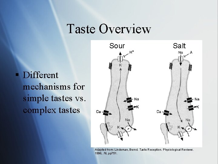 Taste Overview Sour Salt § Different mechanisms for simple tastes vs. complex tastes Adapted