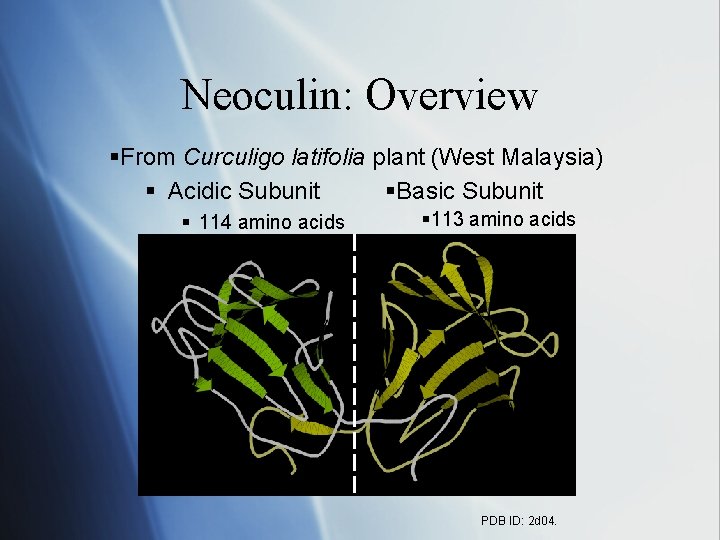 Neoculin: Overview §From Curculigo latifolia plant (West Malaysia) §Basic Subunit § Acidic Subunit §