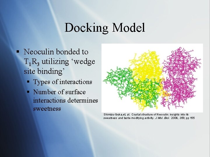 Docking Model § Neoculin bonded to T 1 R 3 utilizing ‘wedge site binding’ Docking Model § Neoculin bonded to T 1 R 3 utilizing ‘wedge site binding’