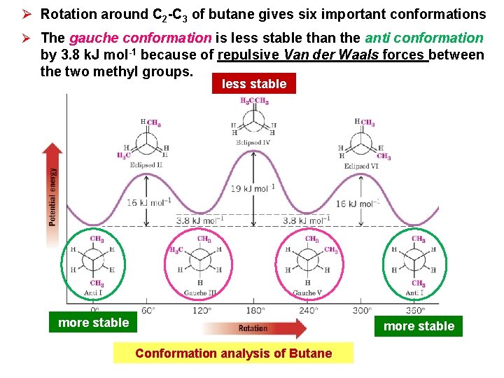 Ø Rotation around C 2 -C 3 of butane gives six important conformations Ø