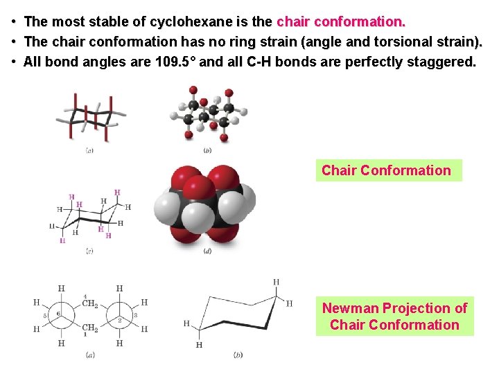  • • • The most stable of cyclohexane is the chair conformation. The