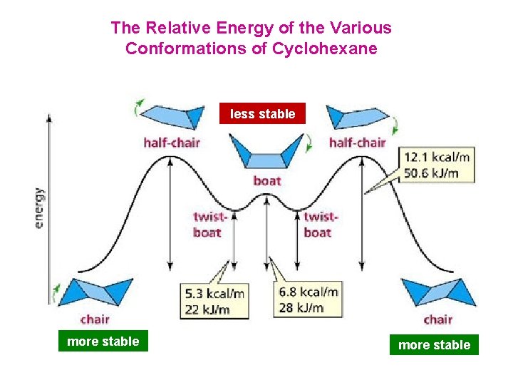 The Relative Energy of the Various Conformations of Cyclohexane less stable more stable 