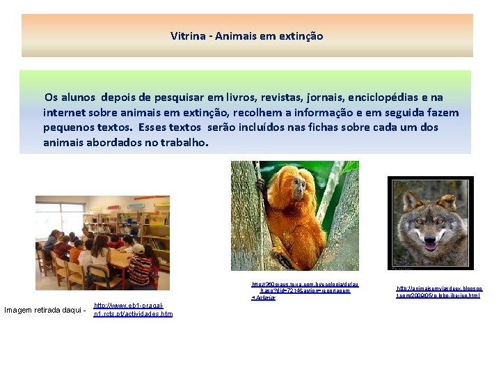 Vitrina - Animais em extinção Os alunos depois de pesquisar em livros, revistas, jornais,