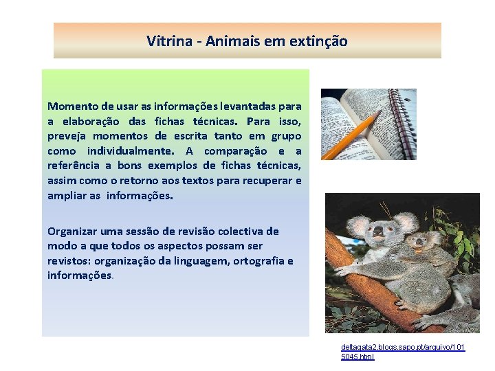 Vitrina - Animais em extinção Momento de usar as informações levantadas para a elaboração