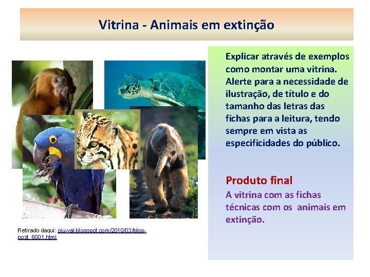 Vitrina - Animais em extinção Explicar através de exemplos como montar uma vitrina. Alerte