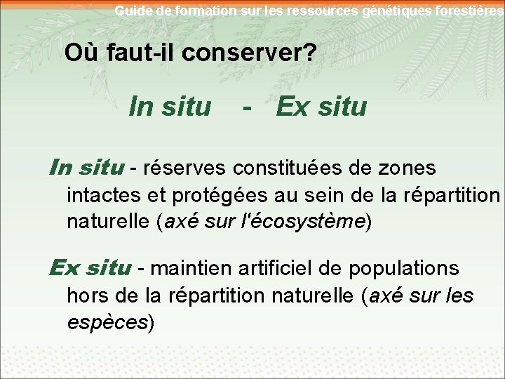 Guide de formation sur les ressources génétiques forestières Où faut-il conserver? In situ -