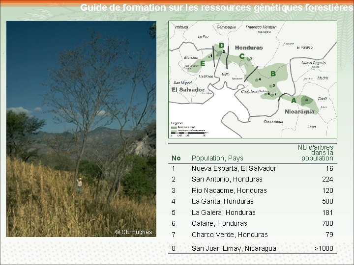 Guide de formation sur les ressources génétiques forestières © CE Hughes Nb d'arbres dans