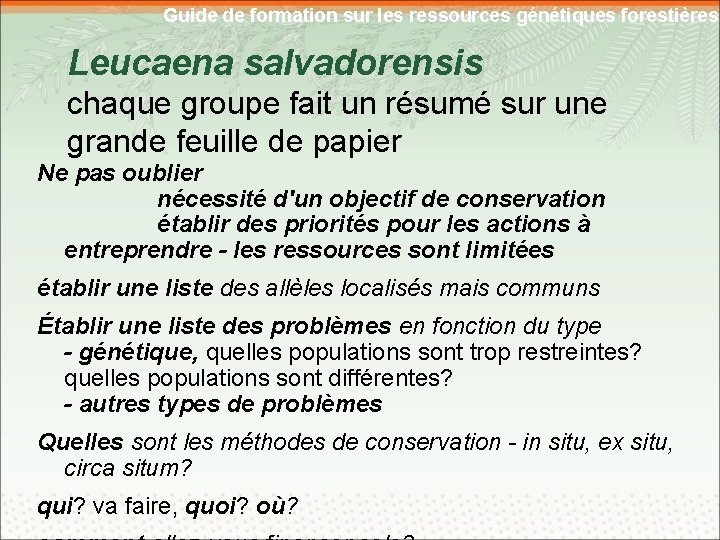 Guide de formation sur les ressources génétiques forestières Leucaena salvadorensis chaque groupe fait un