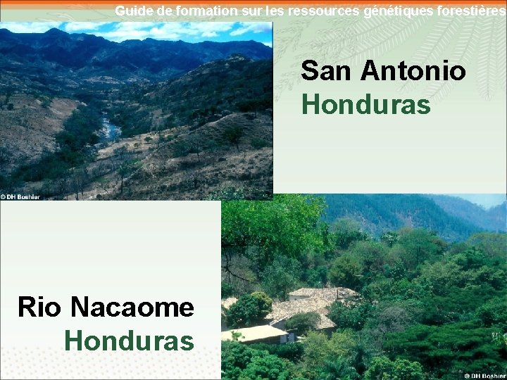 Guide de formation sur les ressources génétiques forestières San Antonio Honduras Rio Nacaome Honduras