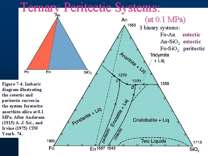 Ternary Peritectic Systems: (at 0. 1 MPa) 3 binary systems: Fo-An eutectic An-Si. O