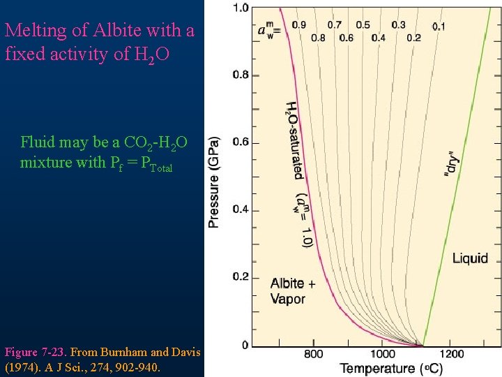 Melting of Albite with a fixed activity of H 2 O Fluid may be