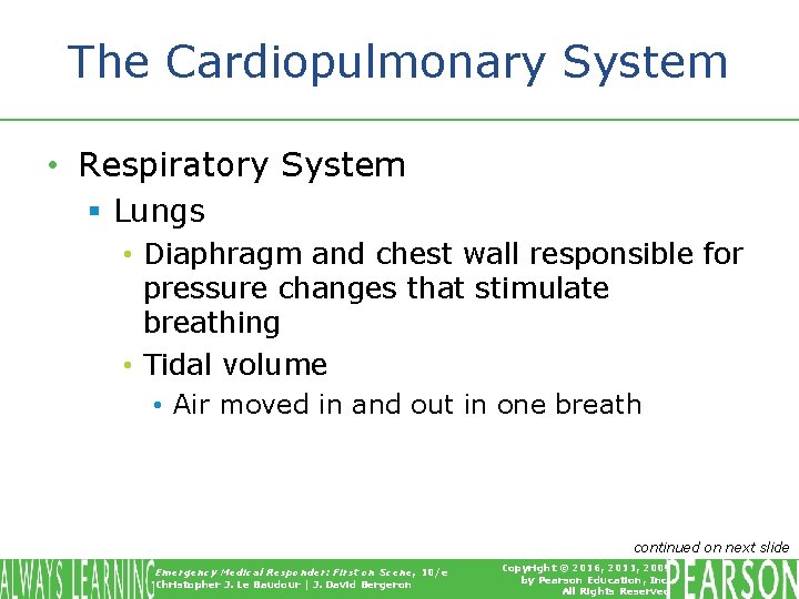 The Cardiopulmonary System • Respiratory System § Lungs • Diaphragm and chest wall responsible