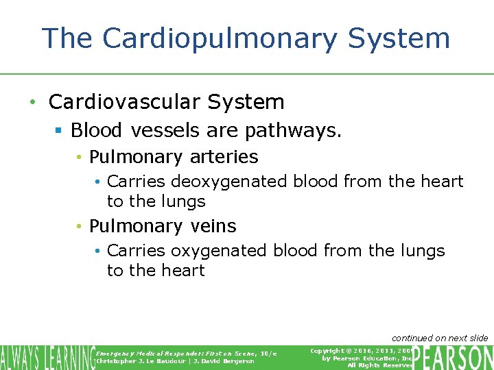 The Cardiopulmonary System • Cardiovascular System § Blood vessels are pathways. • Pulmonary arteries