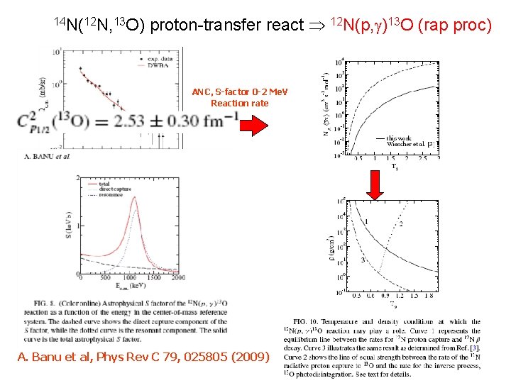 14 N(12 N, 13 O) proton-transfer react 12 N(p, )13 O (rap proc) ANC,