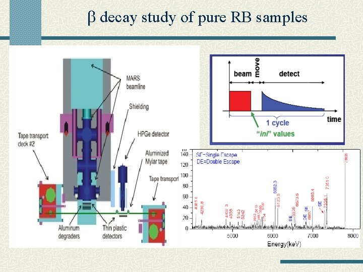  decay study of pure RB samples 