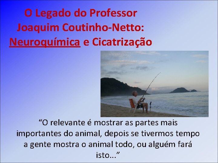 O Legado do Professor Joaquim Coutinho-Netto: Neuroquímica e Cicatrização “O relevante é mostrar as