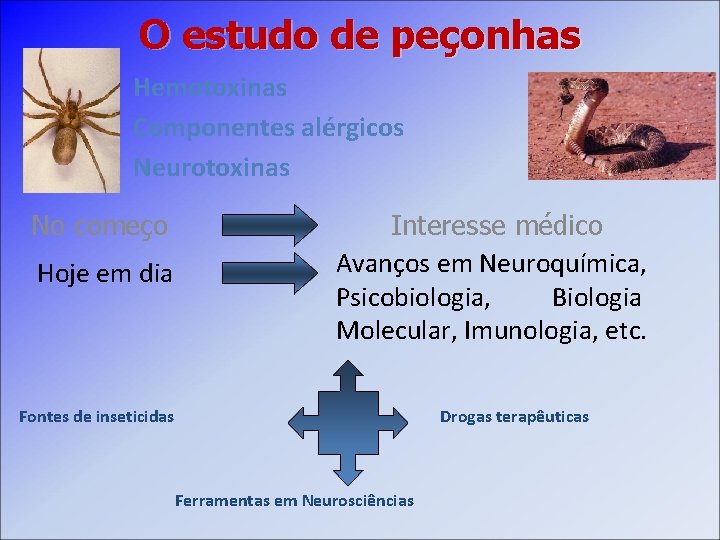 O estudo de peçonhas Hemotoxinas Componentes alérgicos Neurotoxinas No começo Hoje em dia Interesse
