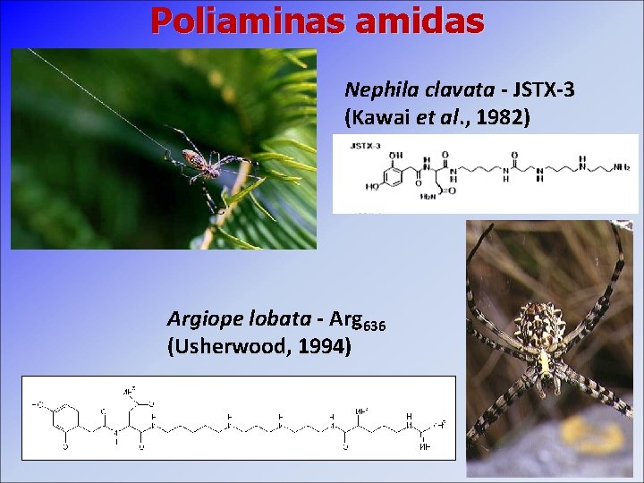 Poliaminas amidas Nephila clavata - JSTX-3 (Kawai et al. , 1982) Argiope lobata -