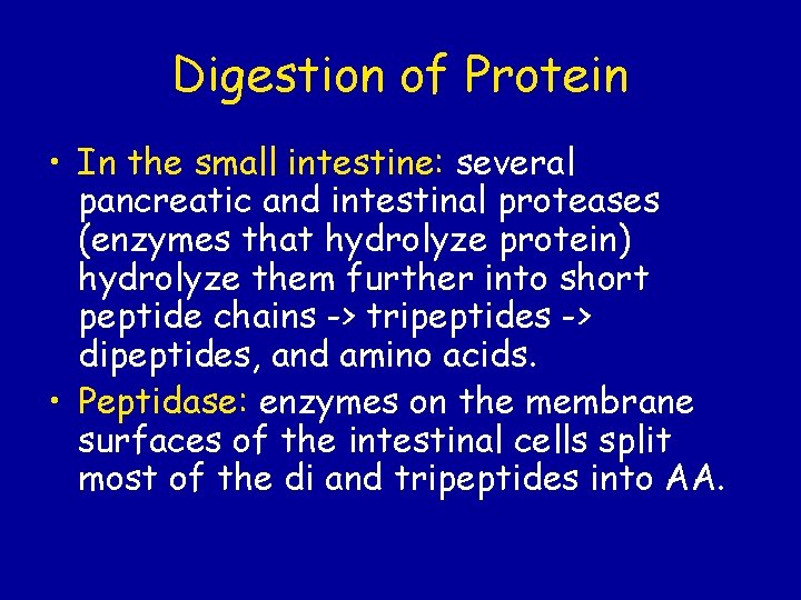 Digestion of Protein • In the small intestine: several pancreatic and intestinal proteases (enzymes