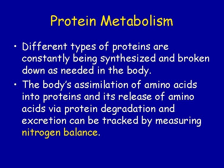 Protein Metabolism • Different types of proteins are constantly being synthesized and broken down