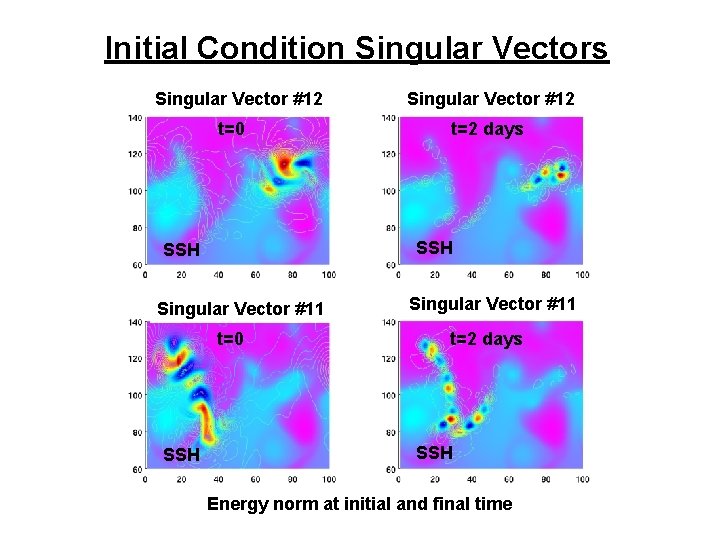 Initial Condition Singular Vectors Singular Vector #12 t=0 t=2 days SSH Singular Vector #11 Initial Condition Singular Vectors Singular Vector #12 t=0 t=2 days SSH Singular Vector #11