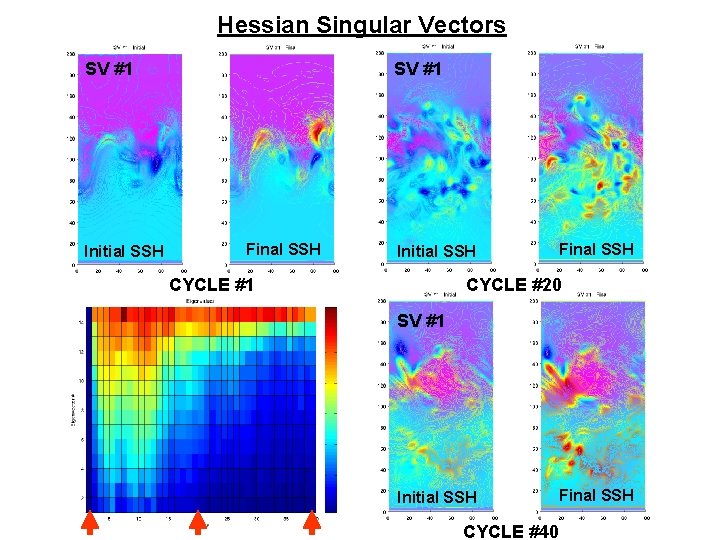 Hessian Singular Vectors SV #1 Initial SSH SV #1 Final SSH Initial SSH CYCLE Hessian Singular Vectors SV #1 Initial SSH SV #1 Final SSH Initial SSH CYCLE