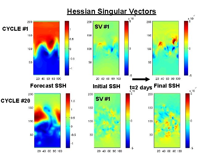 Hessian Singular Vectors SV #1 CYCLE #1 Forecast SSH CYCLE #20 Initial SSH SV Hessian Singular Vectors SV #1 CYCLE #1 Forecast SSH CYCLE #20 Initial SSH SV
