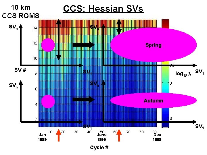 10 km CCS ROMS SVn CCS: Hessian SVs SVn Spring SV # log 10 10 km CCS ROMS SVn CCS: Hessian SVs SVn Spring SV # log 10