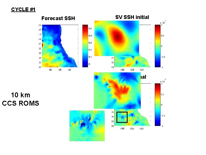 CYCLE #1 Forecast SSH SV SSH initial SV SSH final 10 km CCS ROMS CYCLE #1 Forecast SSH SV SSH initial SV SSH final 10 km CCS ROMS
