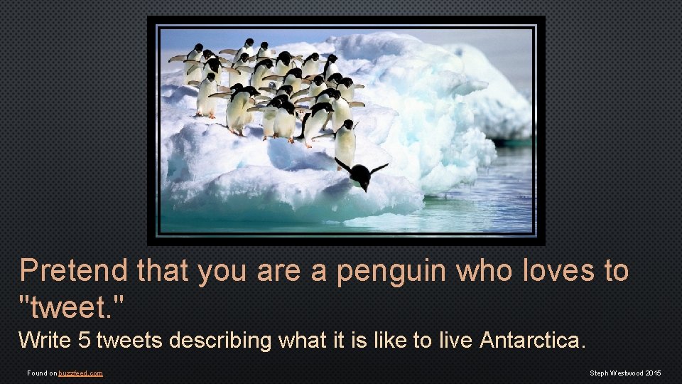 Pretend that you are a penguin who loves to "tweet. " Write 5 tweets