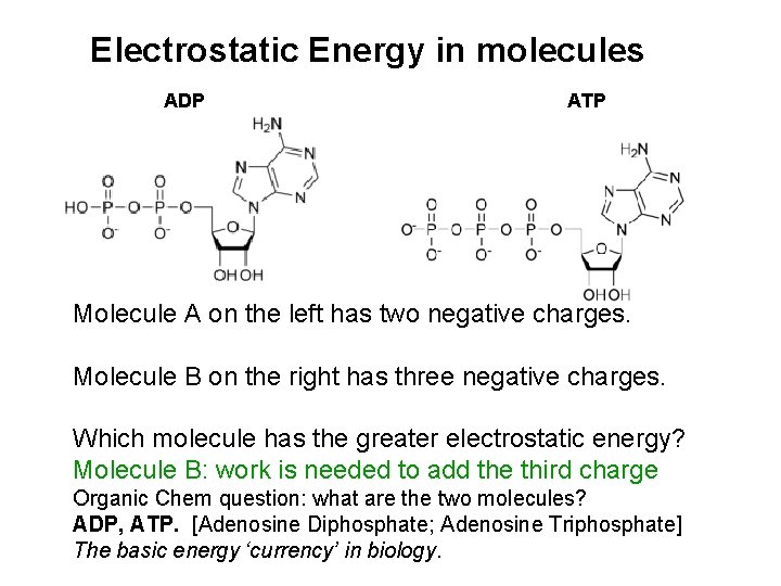 Electrostatic Energy in molecules ADP ATP Molecule A on the left has two negative