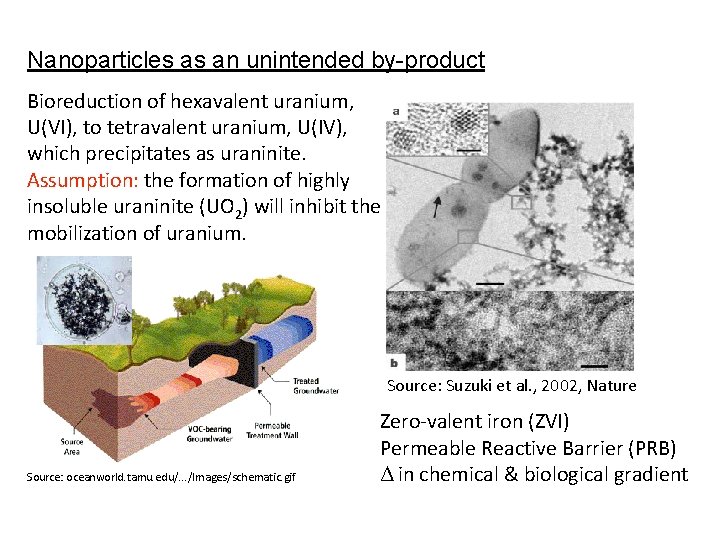 Nanoparticles as an unintended by-product Bioreduction of hexavalent uranium, U(VI), to tetravalent uranium, U(IV),