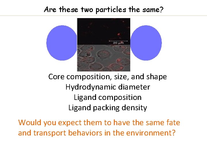 Are these two particles the same? Core composition, size, and shape Hydrodynamic diameter Ligand