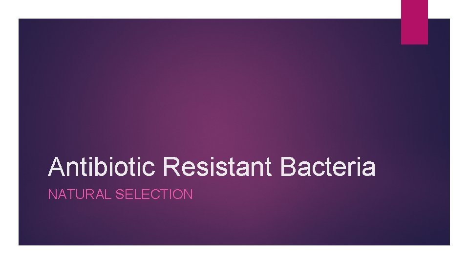 Antibiotic Resistant Bacteria NATURAL SELECTION 