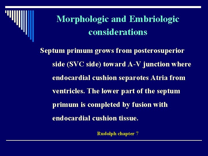 Morphologic and Embriologic considerations Septum primum grows from posterosuperior side (SVC side) toward A-V