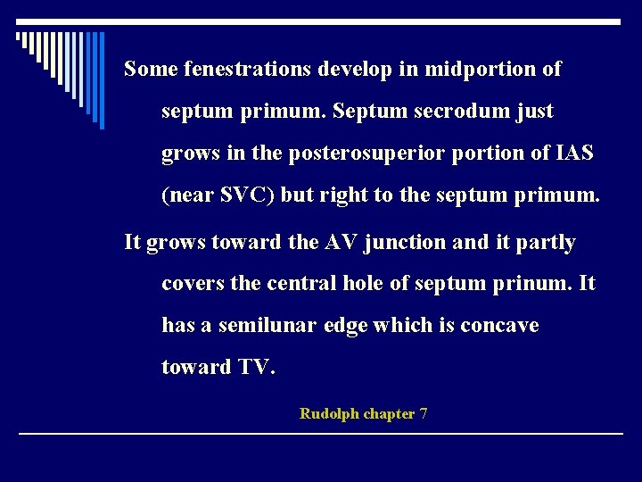 Some fenestrations develop in midportion of septum primum. Septum secrodum just grows in the